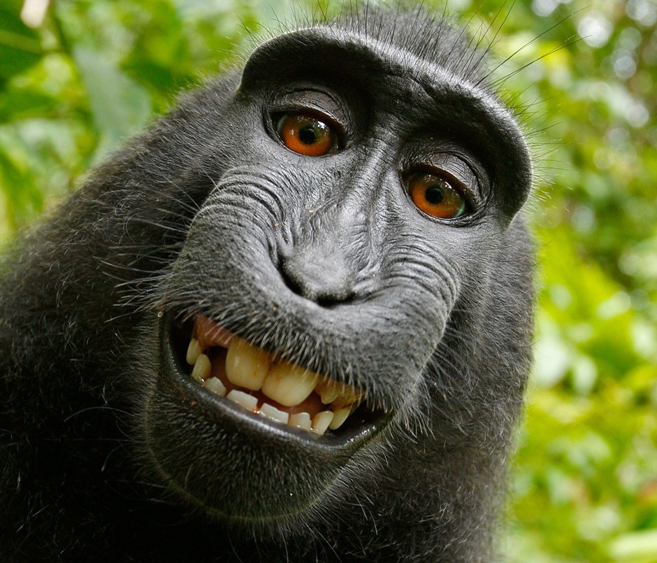 selfie